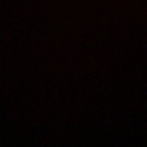 Meet your Posher, Will